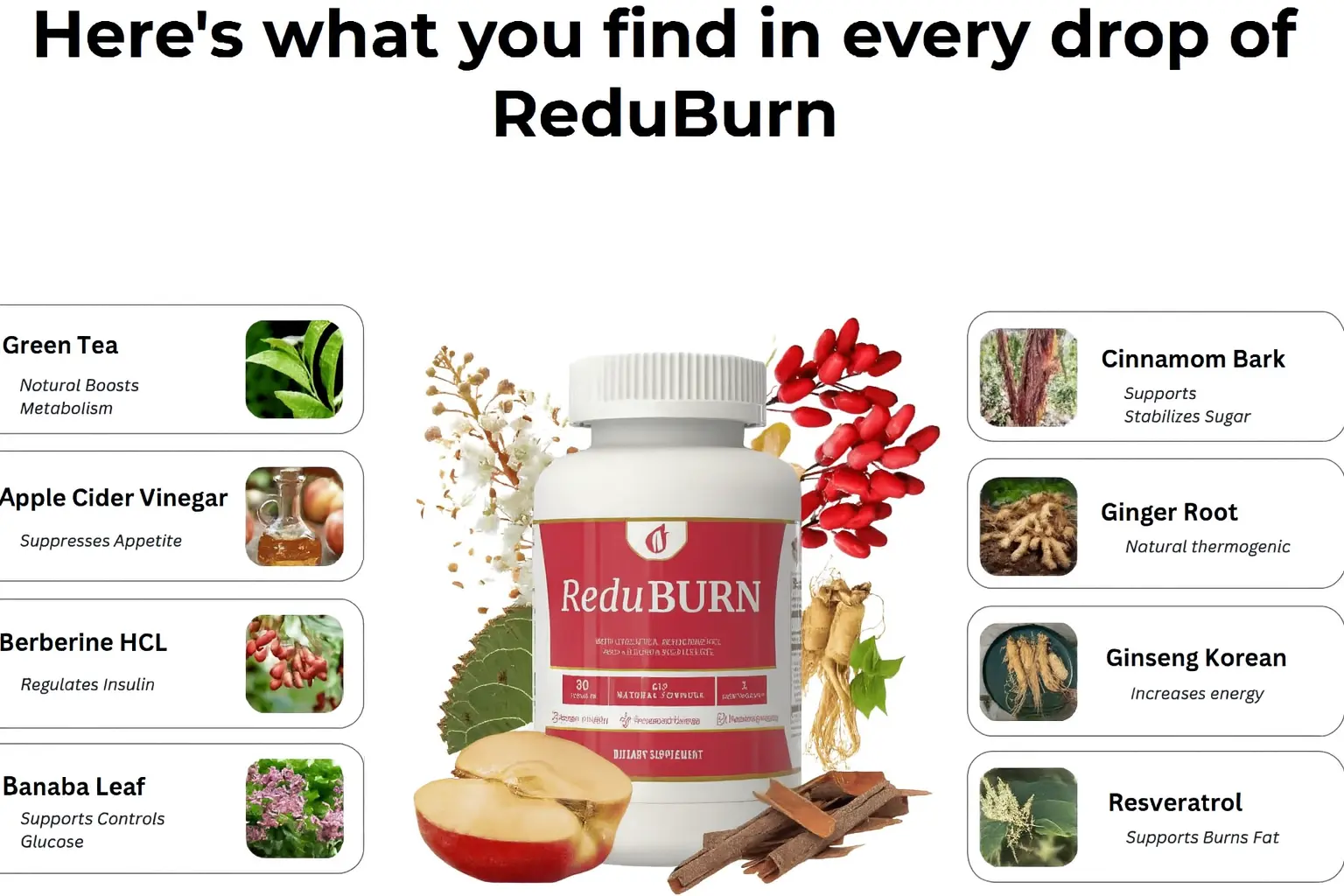 ReduBurn Advanced WeightLoss Support